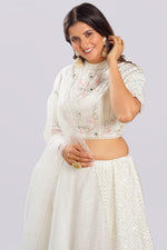 Load image into Gallery viewer, Two Side Work Half N Half Look Lehnga With High Neck Blouse