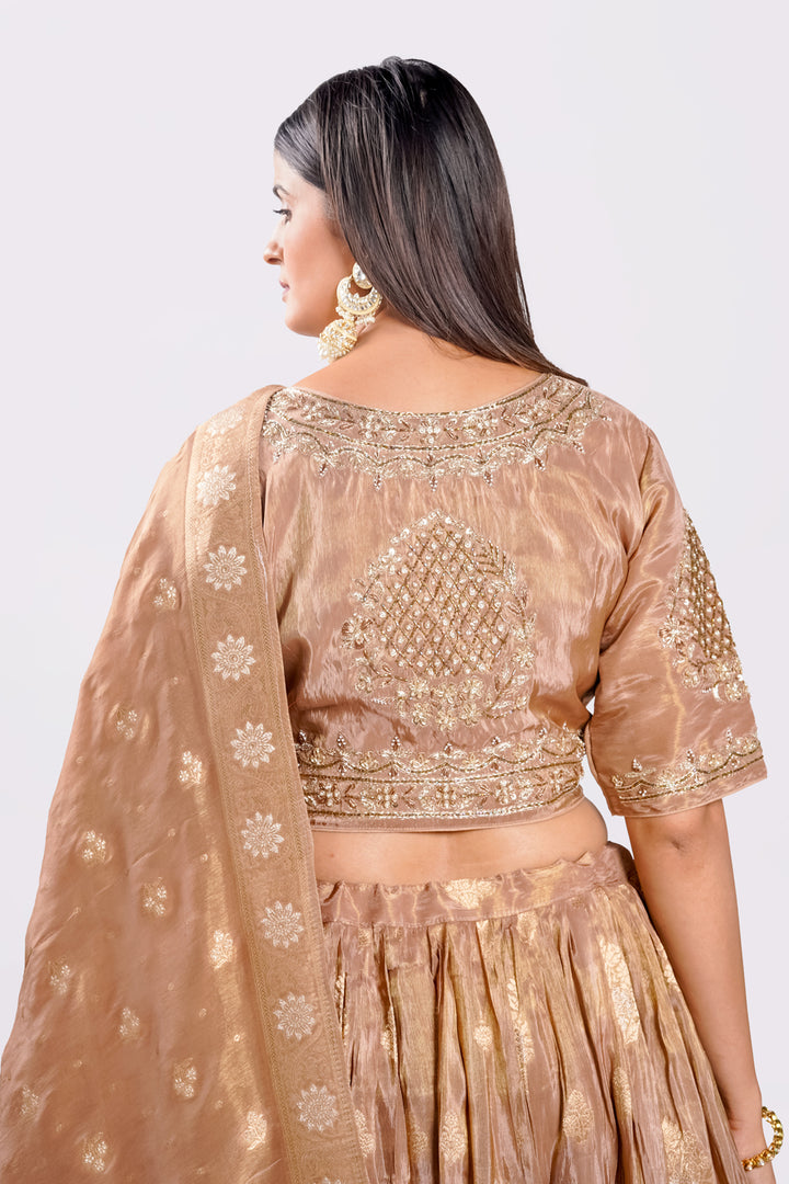 Tissue Fabric Light Brown Color Readymade Lehenga