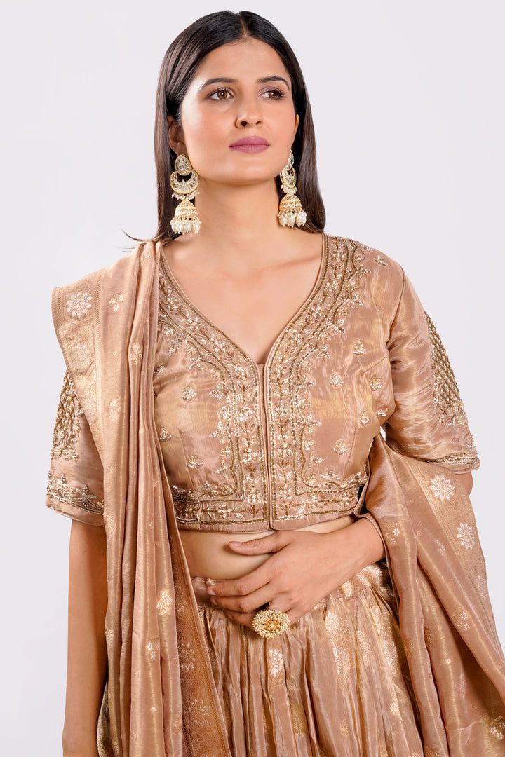 Tissue Fabric Light Brown Color Readymade Lehenga